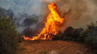 صورة اندلاع حريق ضخم في المنطقة الحراجية بريف اللاذقية