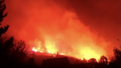 صورة حرائق جديدة تجتاح جبال اللاذقية والنيران تصل إلى منازل المدنيين