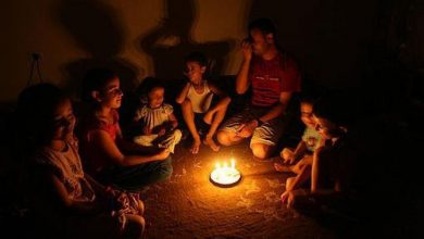 صورة إعلامي موال للنظام يدعو السوريين للاقتداء بـ”زنوبيا” والعيش دون كهرباء