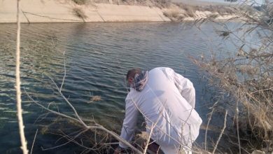 صورة تسرب نفطي.. الكشف عن سبب تلوث المياه في الأسدية بريف الرقة