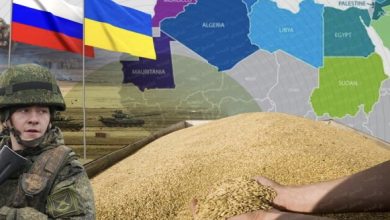 صورة حكومة النظام تلجأ لاستيراد القمح من الهند بعد ارتفاع أسعار “الروسي”