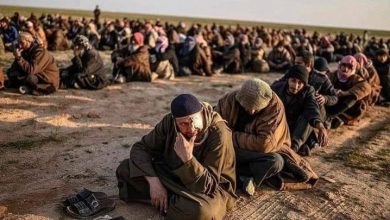 صورة التحالف الدولي: الشراكة مع قوات سوريا الديمقراطية هي الأساس في هزيمة داعش