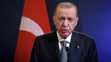 صورة أردوغان: النظام الفدرالي في سوريا مجرد حلم لا مكان له في الواقع