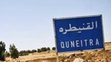 صورة رويترز: جهات مرتبطة بإيران من بقايا نظام الأسد تسعى لاستفزاز إسرائيل جنوب سوريا