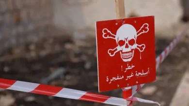 صورة ألمانيا تواصل دعم برامج إزالة الألغام والذخائر غير المنفجرة في سوريا
