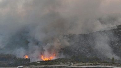 صورة الرياح تعرقل جهود السيطرة على حريق غابات اللاذقية يمتد لـ20 كيلومتراً مربعاً
