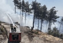 صورة حرائق اللاذقية تخرج عن السيطرة وتمتد إلى غابات الفرنلق