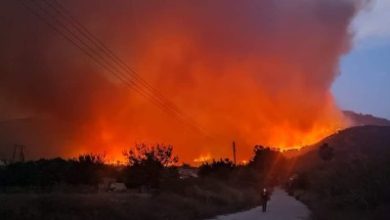 صورة وزير الطوارئ والكوارث: لبنان يشارك في الاستجابة لإخماد الحرائق في ريف اللاذقية