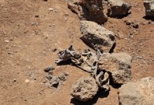 صورة درعا: العثور على مقبرة جماعية وانتشال رفات 4 جثث في حصيلة أولية