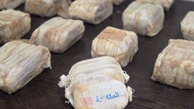 صورة ضبط محاولة تهريب مخدرات إلى الأردن وإحباطها من قبل وزارة الدفاع