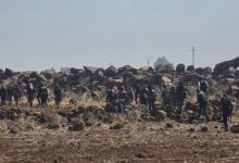 صورة الشبكة السورية: أكثر من 1300 قتيل وجريح في السويداء خلال أسبوع