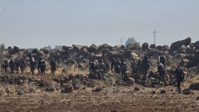 صورة الشبكة السورية: أكثر من 1300 قتيل وجريح في السويداء خلال أسبوع