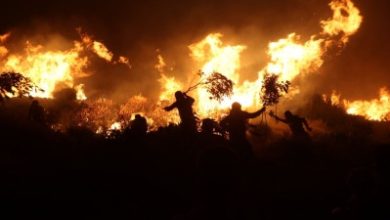 صورة وزير الطوارئ يعلن إخماد وتبريد كامل حرائق الغابات والأحراج في ريف حماة الغربي