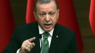 صورة أردوغان: نشدد على وحدة الأراضي السورية ونقف ضد كل من يسبب الفوضى