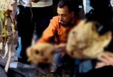 صورة الدفاع المدني ينتشل أربع جثث عليها آثار تعذيب بريف حمص