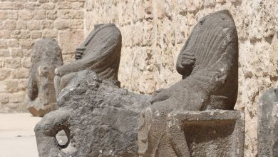 صورة نقل 11 قطعة أثرية من منبج بريف حلب إلى الحمام العثماني