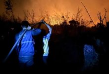 صورة فرق الدفاع المدني تواصل جهودها لإخماد الحرائق في ريفي حمص وطرطوس