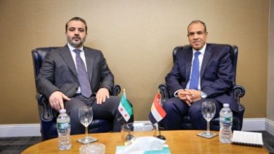 صورة الخارجية المصرية: استعادة سوريا لعافيتها هدف أساسي يعزز الأمن القومي العربي