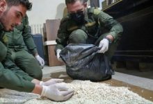 صورة الجمارك السورية تحبط محاولة تهريب 200 ألف حبة كبتاغون قادمة من لبنان