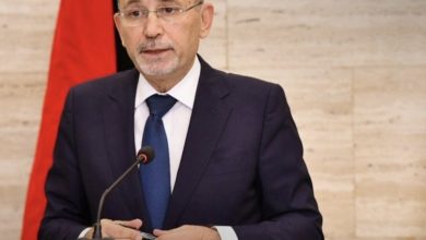 صورة وزير الخارجية الأردني: استقرار سوريا وأمنها ركيزة أساسية للأمن الإقليمي