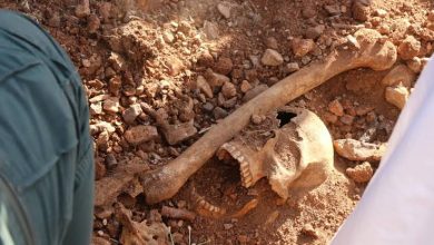 صورة العثور على مقبرة تضم جثتين مجهولتي الهوية بريف حماة