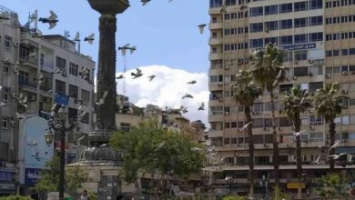 صورة محافظة دمشق: لا صحة لمزاعم تغيير اسم ساحة المرجة